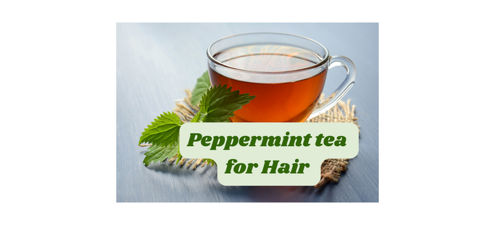 The benefits of Peppermint tea and how to use it on hair
